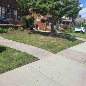 Flower Bed Weeding by Ed&#039;s lawn barber reviewed on November 4, 2025