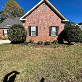 Bush Trimming by Green Sun, Inc. reviewed on October 23, 2025