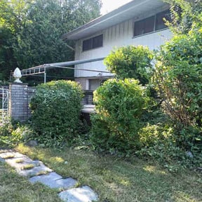 Bush Trimming by Al's lawn care.  reviewed on August 21, 2025