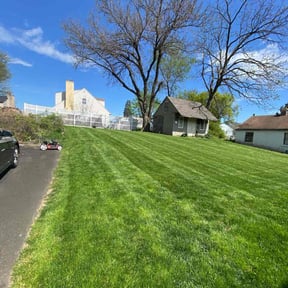 lawn care services by JM Restoration Inc reviewed on August 18, 2025