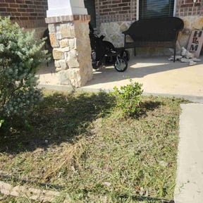 Flower Bed Weeding by Jusus Lawn Care LLC reviewed on November 10, 2025