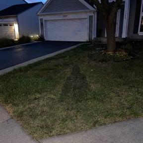 Leaf Removal by Rhanna&#039;s Restoration Services reviewed on September 25, 2025