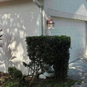 Bush Trimming by J&O landscaping reviewed on August 17, 2025