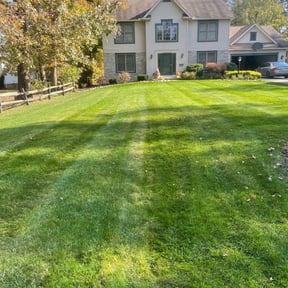 Leaf Removal by Trash Cupid Rental reviewed on September 22, 2025