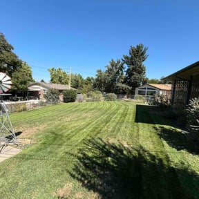 yard care by Becks home improvements reviewed on November 24, 2025