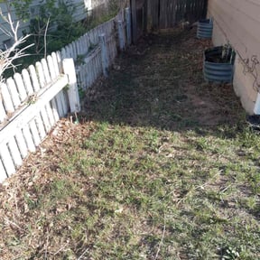 Bush Trimming by Anthonys Home & Outdoor Services llc reviewed on August 20, 2025