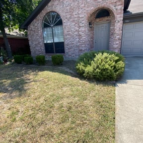 Bush Trimming by RW contractors reviewed on November 21, 2025