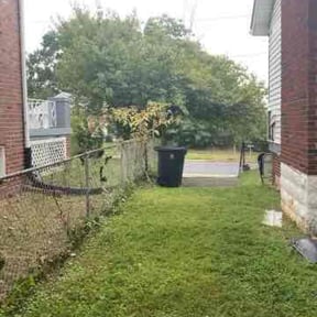 Bush Trimming by K C lawn care reviewed on August 19, 2025