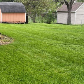 landscaping by Affordable Lawn Care reviewed on May 25, 2025
