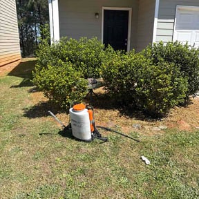 Flower Bed Weeding by Arizona Affordable Landscaping reviewed on April 4, 2026