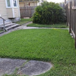 Bush Trimming by D's lawn care reviewed on August 5, 2026