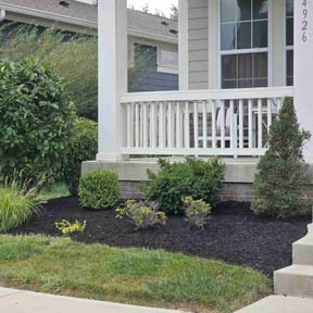 Bush Trimming by Green Cutterz LLC reviewed on November 23, 2025