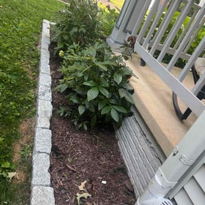 Flower Bed Weeding by JAG Lawn Care reviewed on June 28, 2026