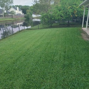 turf maintenance by KC landscape reviewed on May 8, 2024