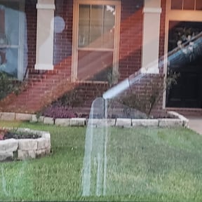 Bush Trimming by Brooms lawncare reviewed on August 18, 2025