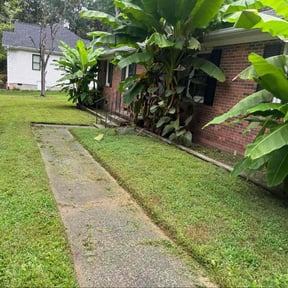 Bush Trimming by Armstrong's Lawn Care Plus reviewed on November 20, 2025