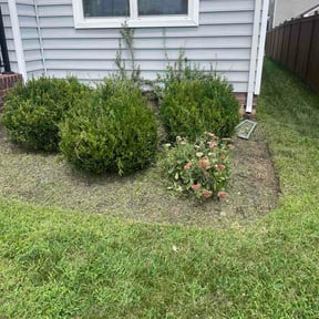 Flower Bed Weeding by Blade Masters Lawn Care LLC reviewed on August 15, 2026