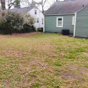 Leaf Removal by Pristine Touch Landscaping reviewed on August 20, 2026