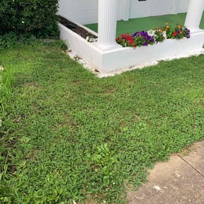 Leaf Removal by RGV LawnCare Services reviewed on June 4, 2023