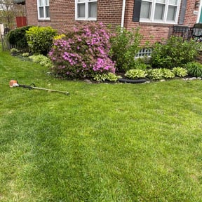 landscaping services by Mottlawns reviewed on August 21, 2025