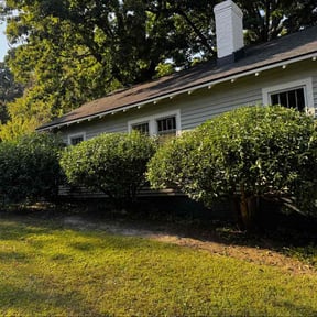 Bush Trimming by River City Lawn Service reviewed on November 19, 2025