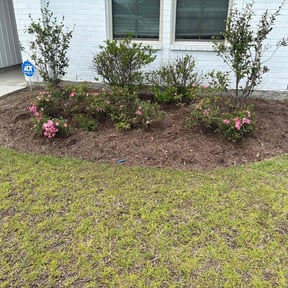 Flower Bed Weeding by Dave's Professional Lawn Service reviewed on August 19, 2025