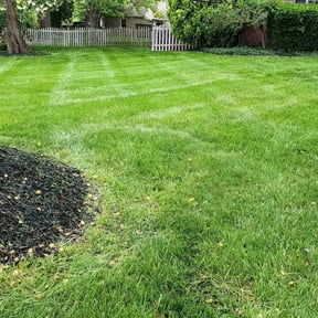 gardening service by Alex &amp; Son's Landscaping Services reviewed on November 26, 2025