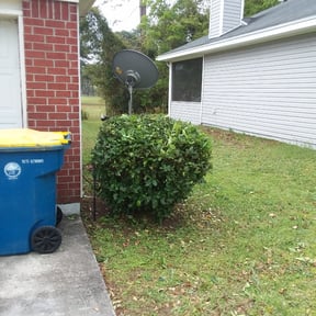 Bush Trimming by RTH Lawn Service & Landscaping LLC reviewed on August 16, 2025