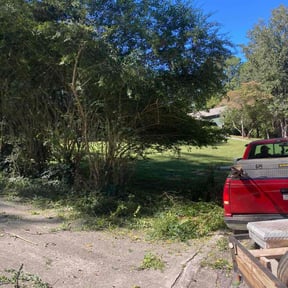 Bush Trimming by Rocky&#039;s Lawn Care reviewed on November 20, 2025