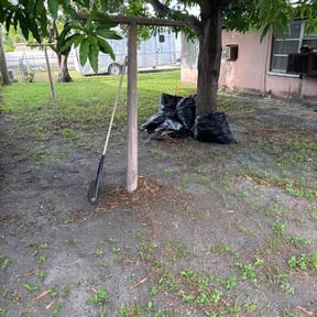 Leaf Removal by Dalia Rosa reviewed on September 16, 2025