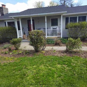 Bush Trimming by Motions Junk Removal reviewed on May 1, 2024