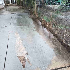 Bush Trimming by TNT Lawn Care reviewed on May 14, 2024