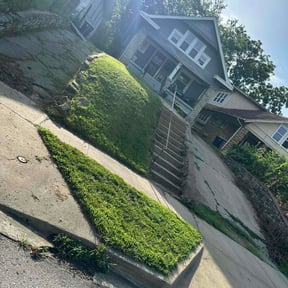 Bush Trimming by Sifu Lawn and Services  reviewed on October 22, 2023