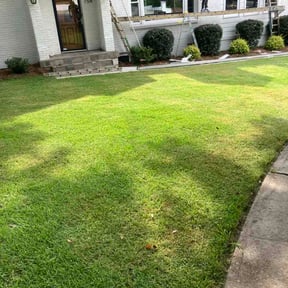 Bush Trimming by Munozpropertysolutionsllc reviewed on August 5, 2026
