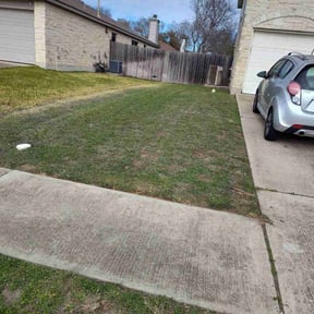 Leaf Removal by Lawns By Lopez reviewed on September 17, 2025