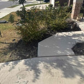 Bush Trimming by Clean Cut Lawn Care reviewed on December 13, 2025