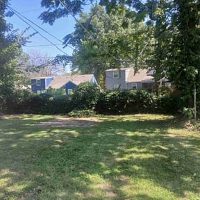 Bush Trimming by MT Lawn Care reviewed on August 16, 2025
