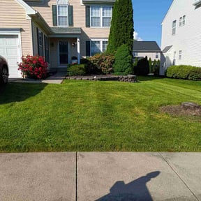 landscaping by Quinn's lawncare reviewed on May 14, 2024