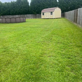 turf care by S&J Lawn Care reviewed on July 22, 2025