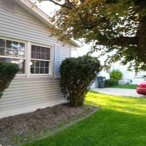 Bush Trimming by KevnLori Professional Lawn Care LLC reviewed on August 15, 2025