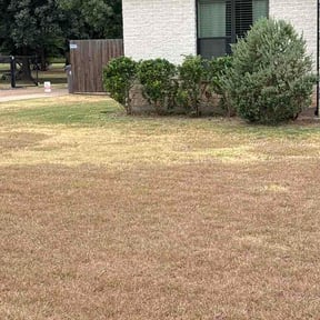 Bush Trimming by JALER LLC reviewed on September 1, 2026