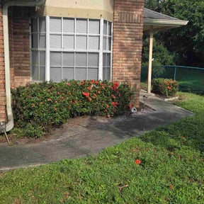 Bush Trimming by Ellis lawn care reviewed on December 21, 2025