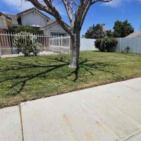 lawn service by Bennett Lawn Care reviewed on December 12, 2023