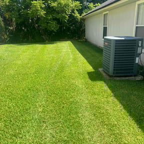 yard work by Jonathan Tomlinson reviewed on December 31, 2025