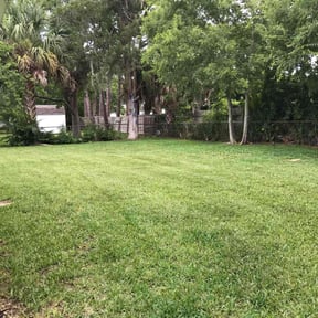 yard maintenance by Greg's Landscaping reviewed on March 2, 2026