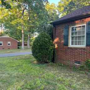Bush Trimming by Benitez Lawn Services reviewed on May 5, 2026