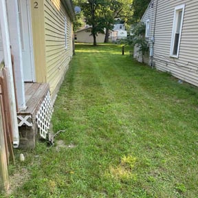 turf care by Family Lawn Care reviewed on May 11, 2024