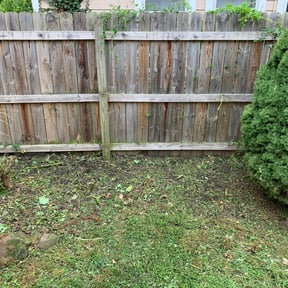 Bush Trimming by Lawn Care Solutions reviewed on August 17, 2025