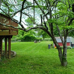 landscape maintenance by Individual reviewed on October 23, 2025