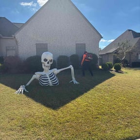 Bush Trimming by Wil &amp; Wy Home and Lawn Guy LLC reviewed on May 11, 2024